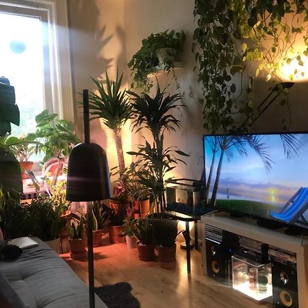 Urban Jungle Oasis In Queens! Apartamento Nueva York Exterior foto