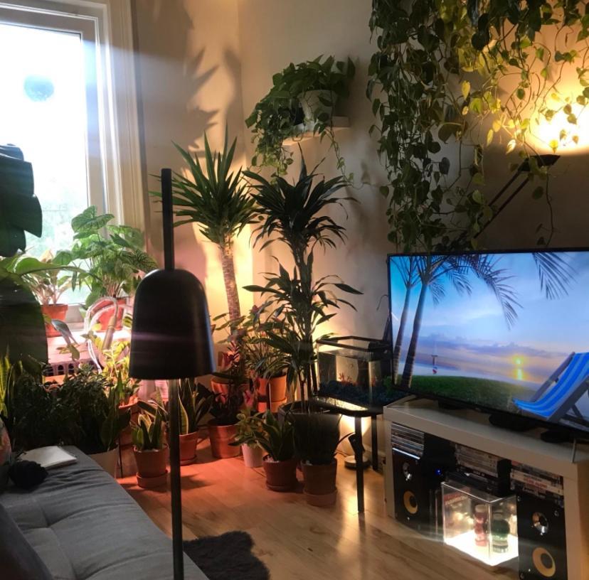 Urban Jungle Oasis In Queens! Apartamento Nueva York Exterior foto
