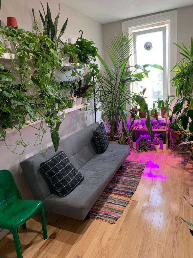 Urban Jungle Oasis In Queens! Apartamento Nueva York Exterior foto