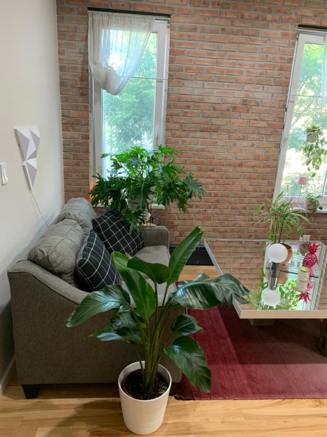 Urban Jungle Oasis In Queens! Apartamento Nueva York Exterior foto