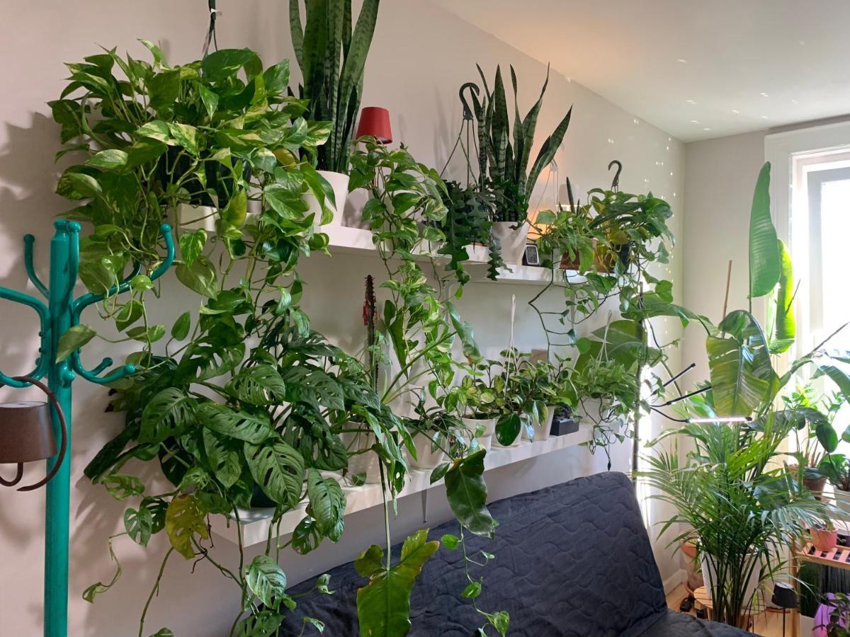Urban Jungle Oasis In Queens! Apartamento Nueva York Exterior foto