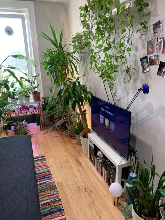 Urban Jungle Oasis In Queens! Apartamento Nueva York Exterior foto